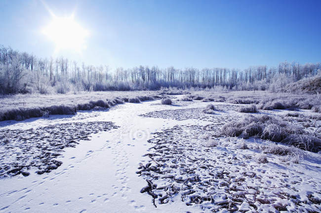 Frosty Cold Landscape — Stock Photo