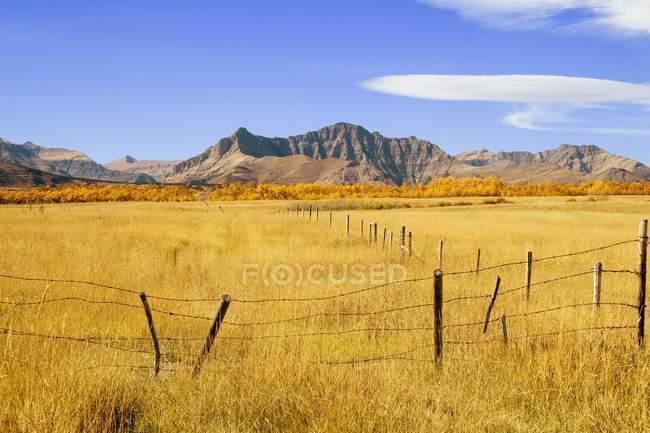 Fence Line on field — Stock Photo