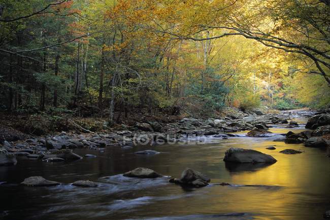 River Flowing Over Rocks — Stock Photo