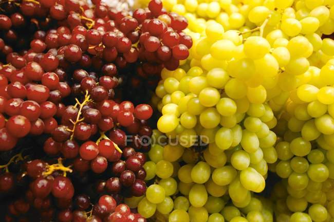 Uvas verdes e vermelhas — Fotografia de Stock