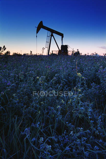 Bomba de óleo no campo — Fotografia de Stock