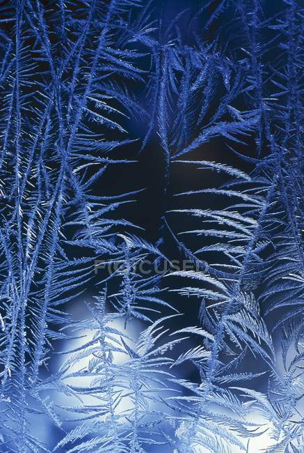 Closeup frost winter pattern on window — Stock Photo