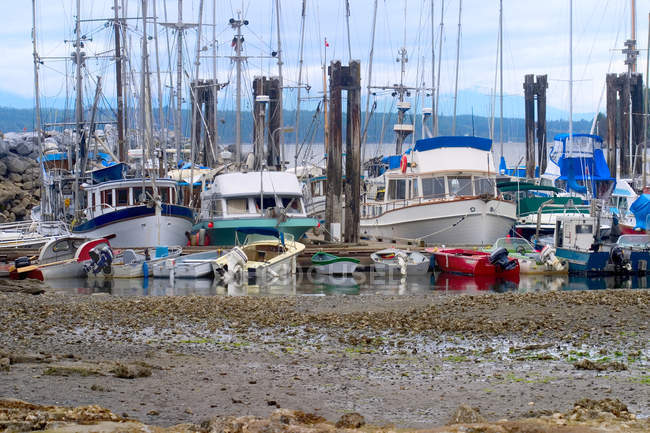 Barcos estacionados no porto — Fotografia de Stock