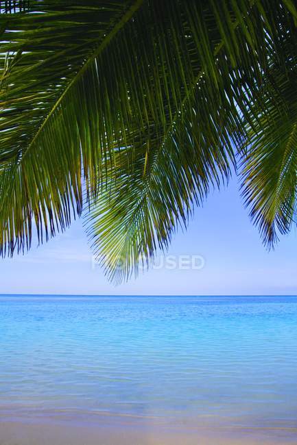 Playa de arena tropical - foto de stock