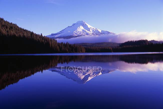 Mount Hood National Forest — Stock Photo