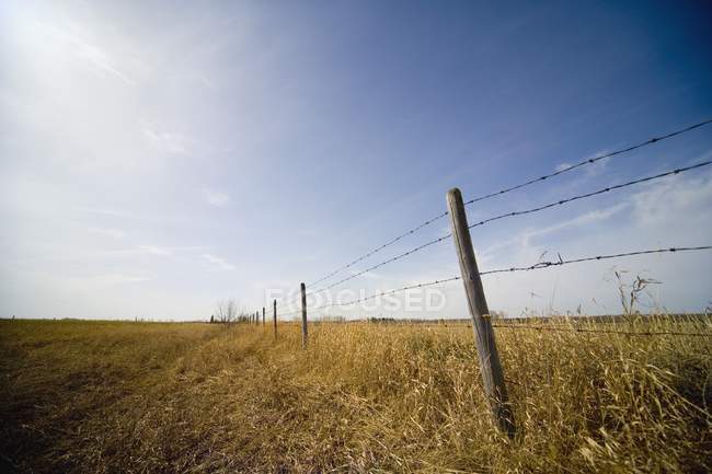 Забор проволоки на поле — стоковое фото
