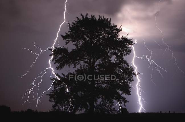 Blitz schlägt am Himmel ein — Stockfoto