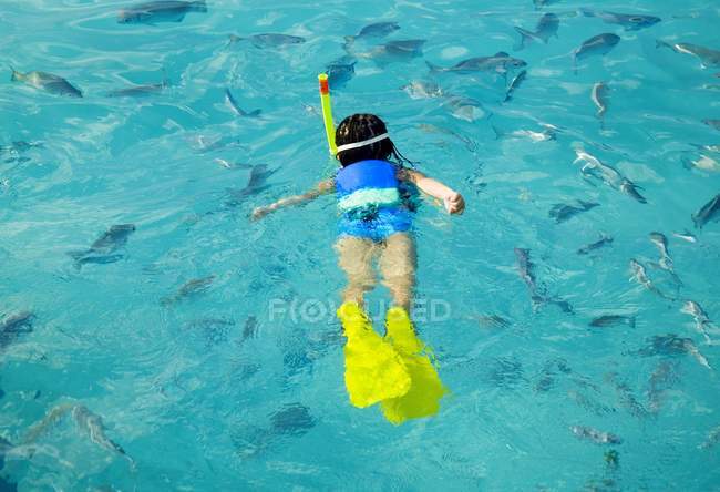 Niña haciendo snorkel con pescado - foto de stock