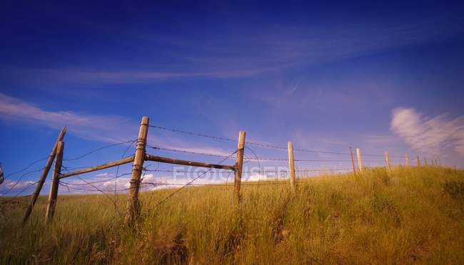 Barbed Wire Fencing — Stock Photo