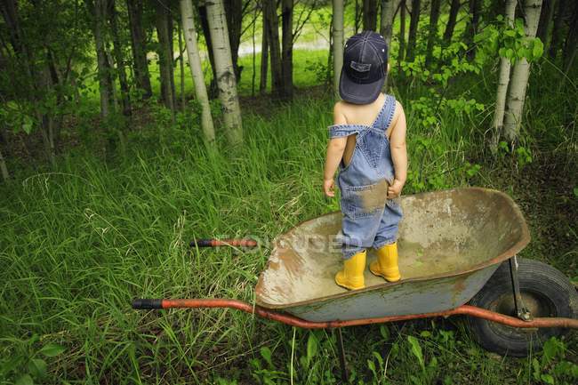 Маленький хлопчик в колісниці над травою в лісі — стокове фото