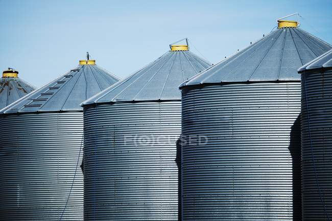 Almacenamiento de granos en fila - foto de stock