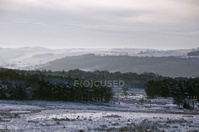 Scena invernale in campagna — Foto stock