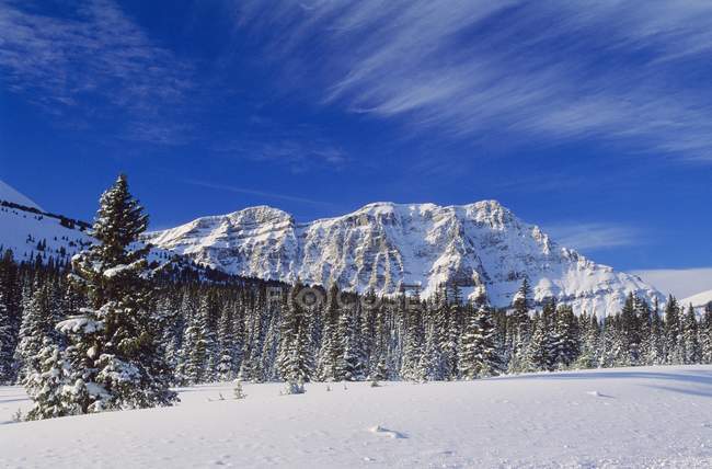 Picos de montaña en los Alpes - foto de stock