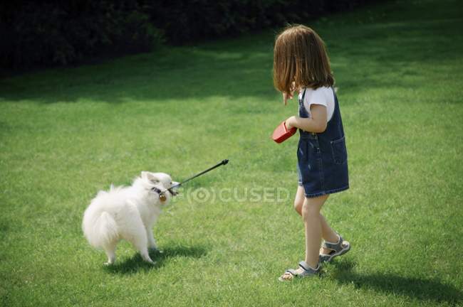 Little Girl With Dog — Stock Photo