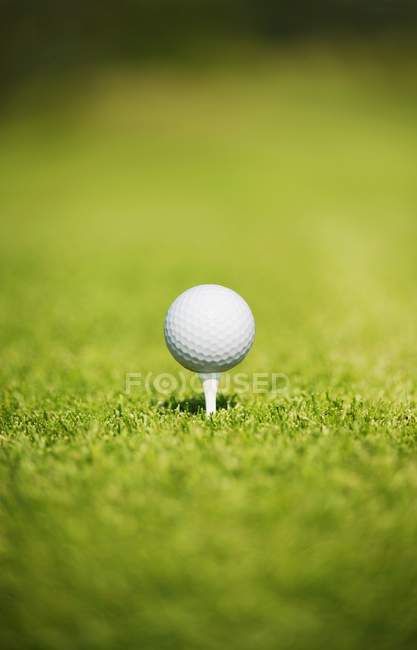 Pallina da golf su un tee — Foto stock