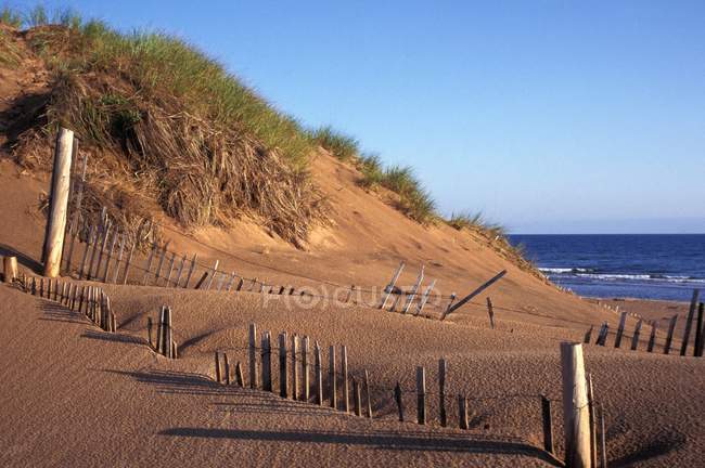 Піщані дюни і берега — стокове фото