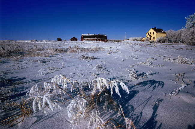 Fazenda Homestead no inverno — Fotografia de Stock