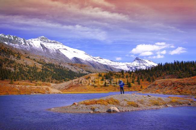 Uomo che gode della vista Columbia Ice Fields, Jasper National Park, Alberta — Foto stock