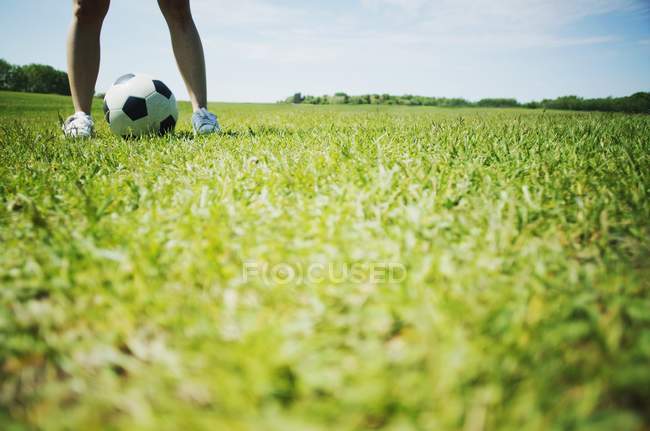 Pelota de fútbol y piernas sobre él - foto de stock