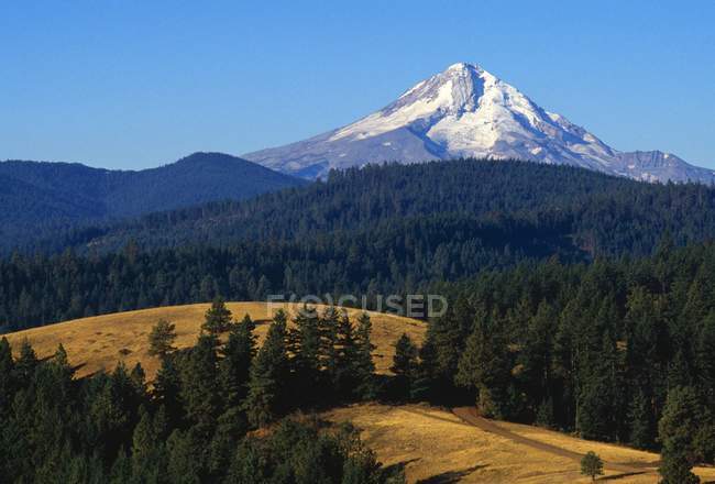Vista de Mount Hood - foto de stock
