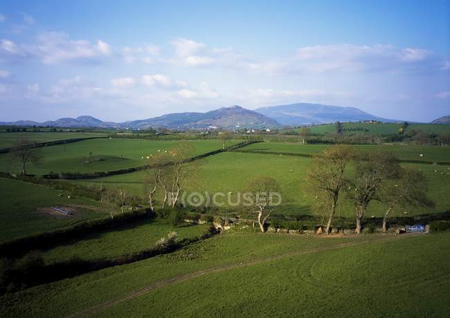 Frontera de Armagh Desde el Castillo de Roche Cerca de Dundalk - foto de stock