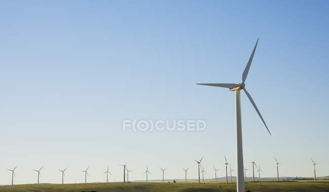 Campo de turbinas eólicas - foto de stock