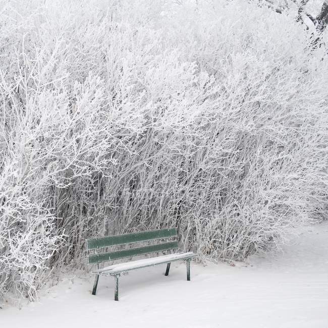 Frost And Snow Covering Bench — Stock Photo