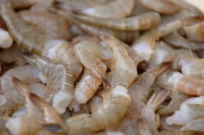 Pile Of Raw Shrimps, full frame — Stock Photo