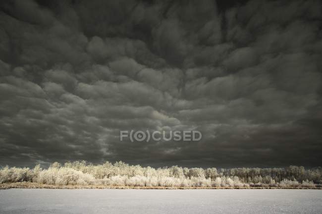 Nubes oscuras y paisaje de invierno - foto de stock