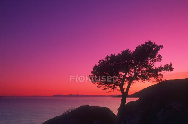 Beau coucher de soleil au Whytecliff Park — Photo de stock