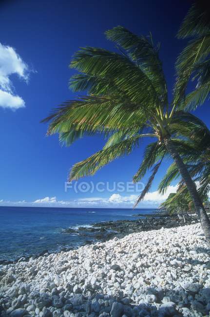 Тропический пляж с камнями — стоковое фото