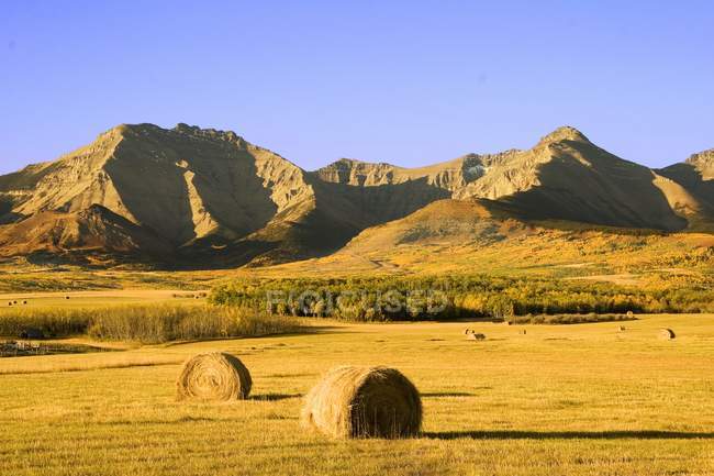 Hay Bales And Mountains — Stock Photo
