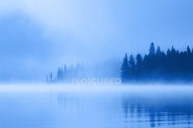 Lago nebuloso con árboles - foto de stock