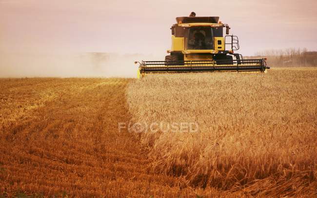 Harvester At Work on field — Stock Photo