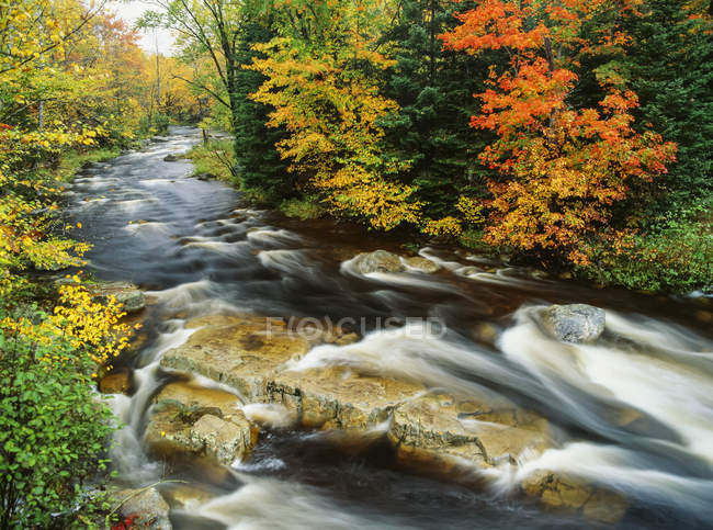 Bach fließt durch Wald in Vermont — Stockfoto