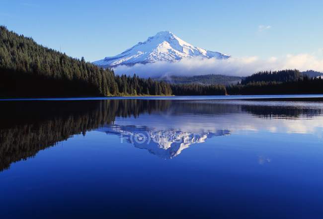 Lago Trillium con reflejo del monte Hood - foto de stock