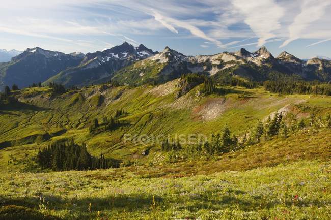 Montagnes sommets avec herbe verte — Photo de stock