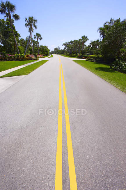 Estrada forrada com palmeiras — Fotografia de Stock