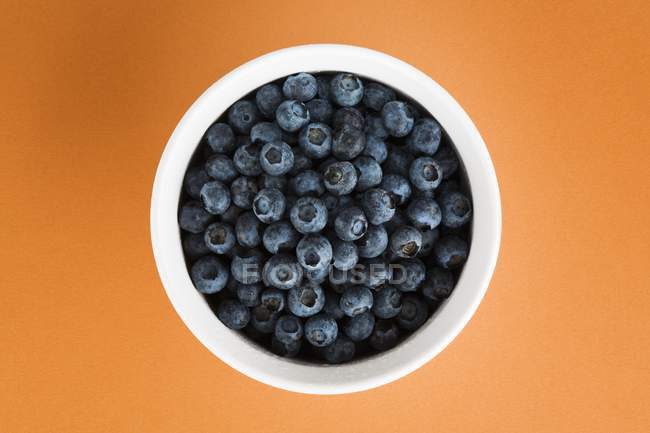 Blueberries In White Bowl On An Orange Background — Stock Photo