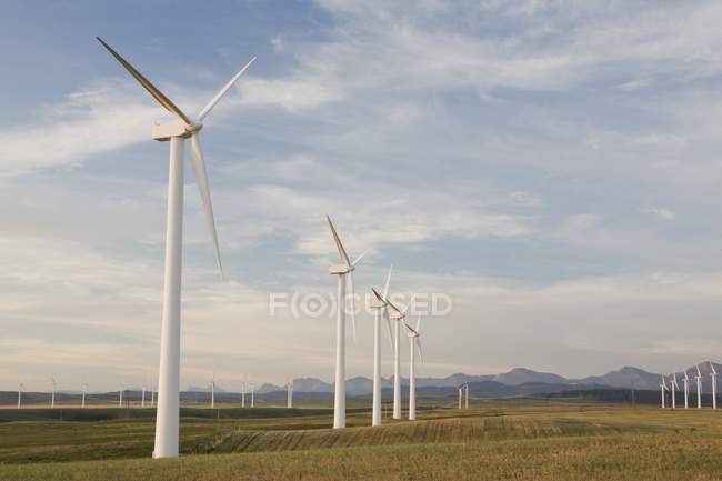 Parque de turbinas eólicas — Fotografia de Stock