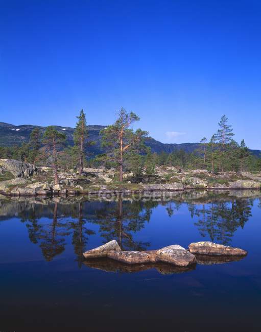 Landscape With Trees Reflecting — Stock Photo