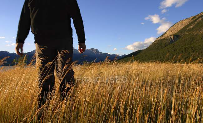 Hombre caminando en la hierba - foto de stock