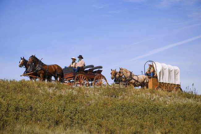 Cowboys Sitting In Chuck Wagons — Stock Photo