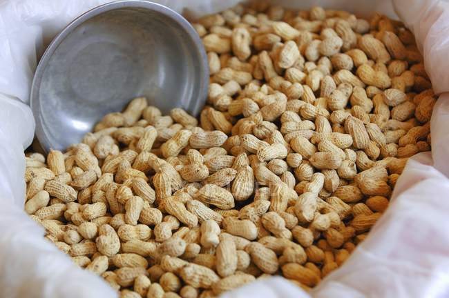 Erdnüsse im Behälter mit Tuch — Stockfoto