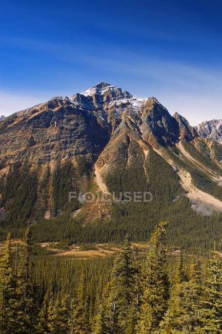 Valle de Tonquin, Parque Nacional Jasper - foto de stock