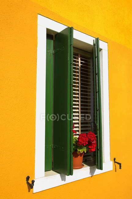 Vue de la maison colorée avec des fleurs — Photo de stock