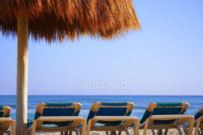 Palm Hut Offering Shade — Stock Photo