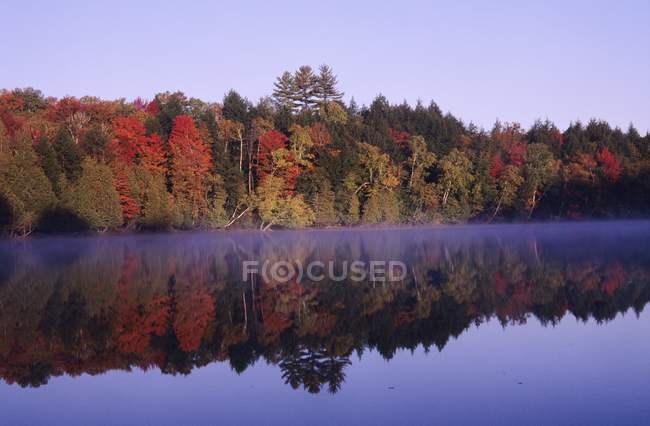 Árvores de outono na costa — Fotografia de Stock