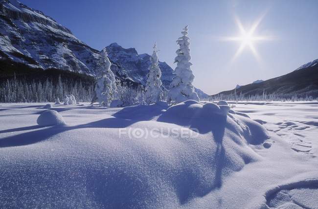 Nieve cubierto paisaje - foto de stock