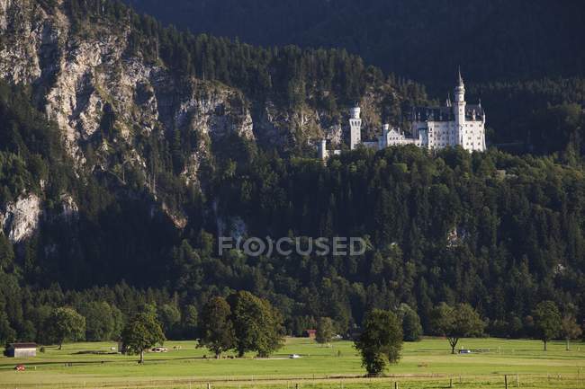 Bavarian Castle On Mountain Side — Stock Photo